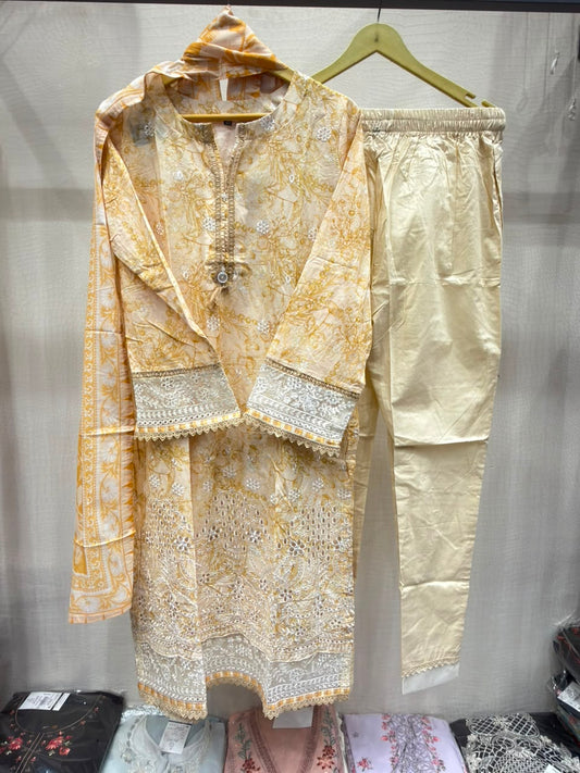 SADABAHAR CHIKANKARI 06